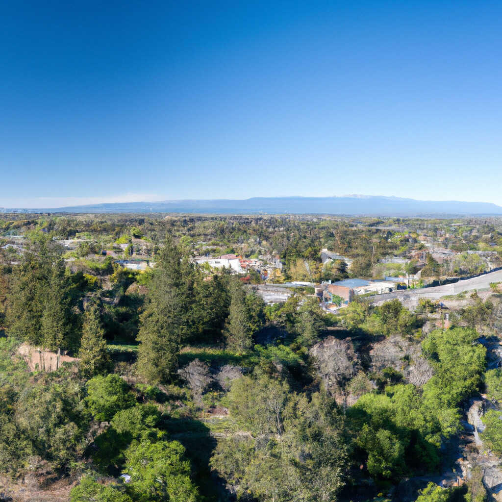 Carmichael, CA News, Crime, Lost Pets, Free Stuff