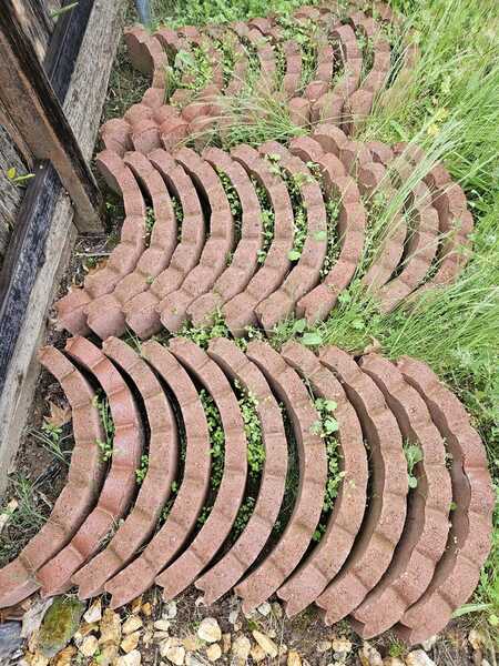 2 Ft. Red Concrete Scalloped Tree Rings for $3 in Roseville, CA | For ...