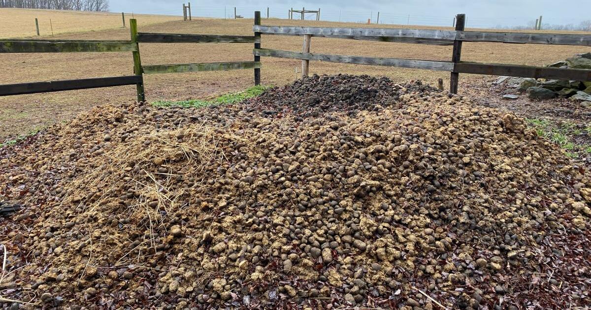 Free Horse Manure for Free in Woodbine, MD For Sale & Free — Nextdoor