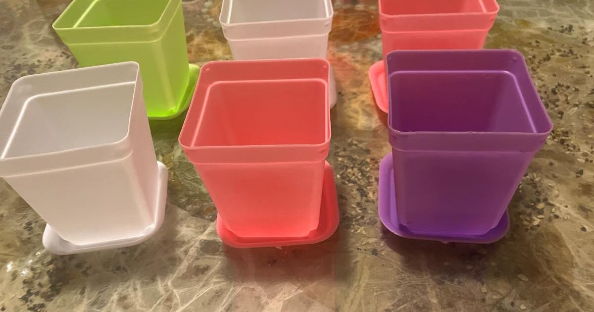 6 (pending ) FREE mini plastic pots for Free in Yountville, CA Finds