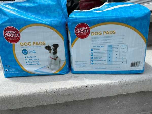 Dog Training Pads For Free In Milford CT For Sale Free Nextdoor