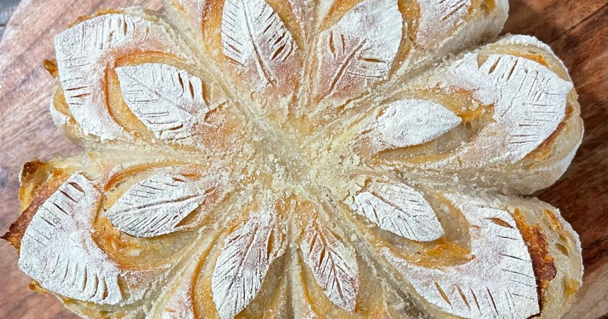 Sourdough in Fresno, CA For Sale & Free — Nextdoor