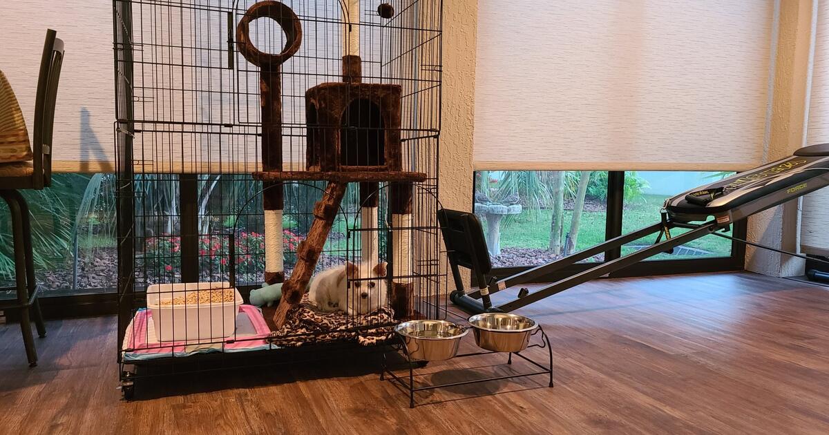 Cat/Bird cage for 30 in The Villages, FL Finds — Nextdoor