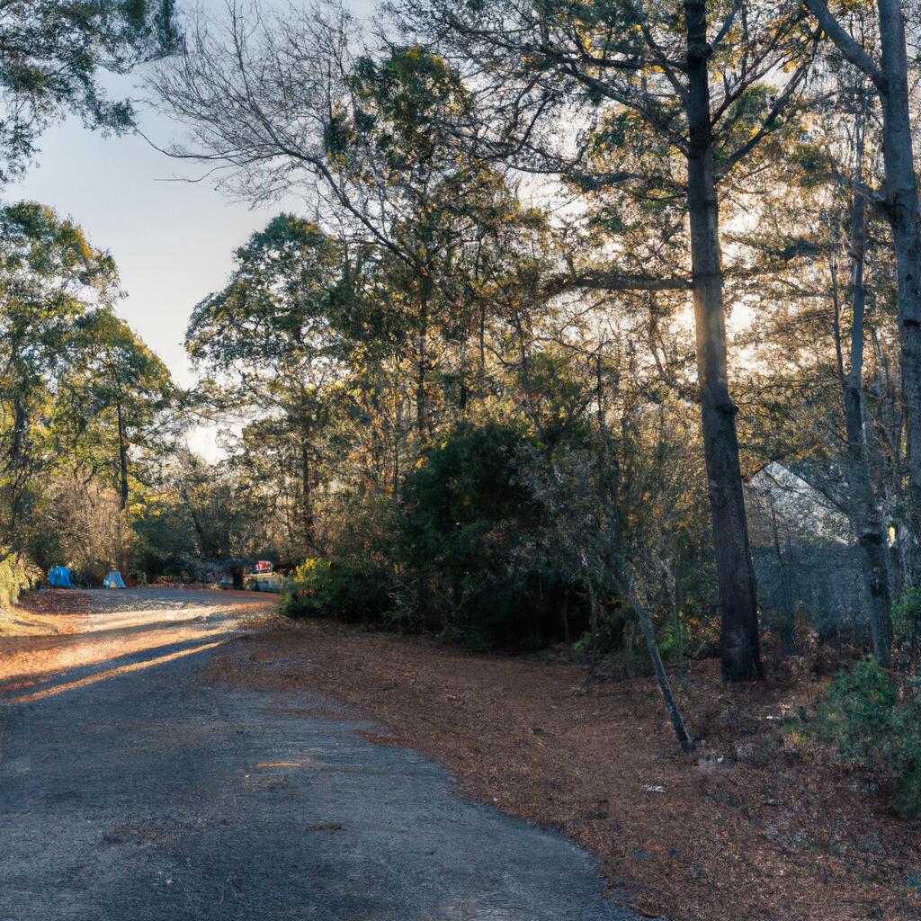 Brunswick Forest, Leland News, Crime, Lost Pets, Free Stuff