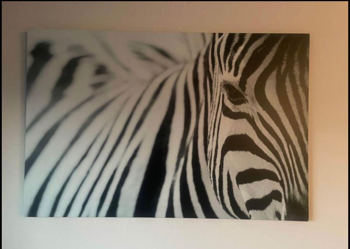 Ideaal Schijnen Spreek uit Safari IKEA Zebra Print Canvas 30 3/4 X 46 1/2” For Free In Alex&ria, VA |  For Sale & Free — Nextdoor
