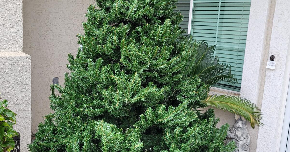 Christmas Tree for Free in Folsom, CA For Sale & Free — Nextdoor