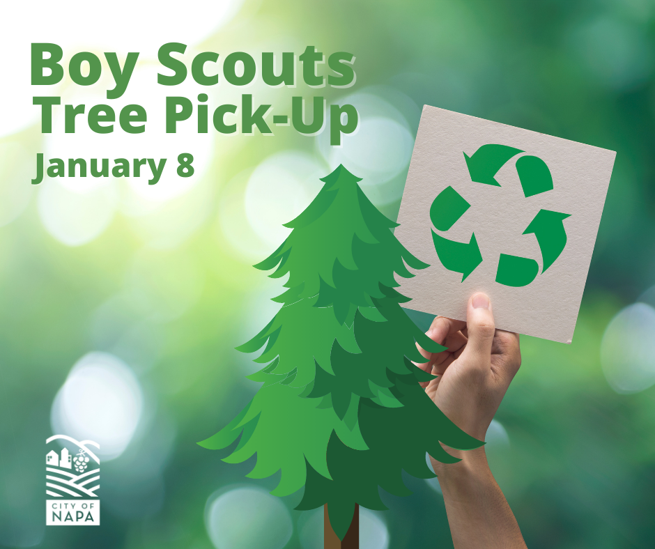 Boy Scouts Christmas Tree Pickup Service! (City of Napa) — Nextdoor