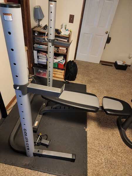 Golds Gym Adjustable Platinum Olympic Workout Bench With Squat