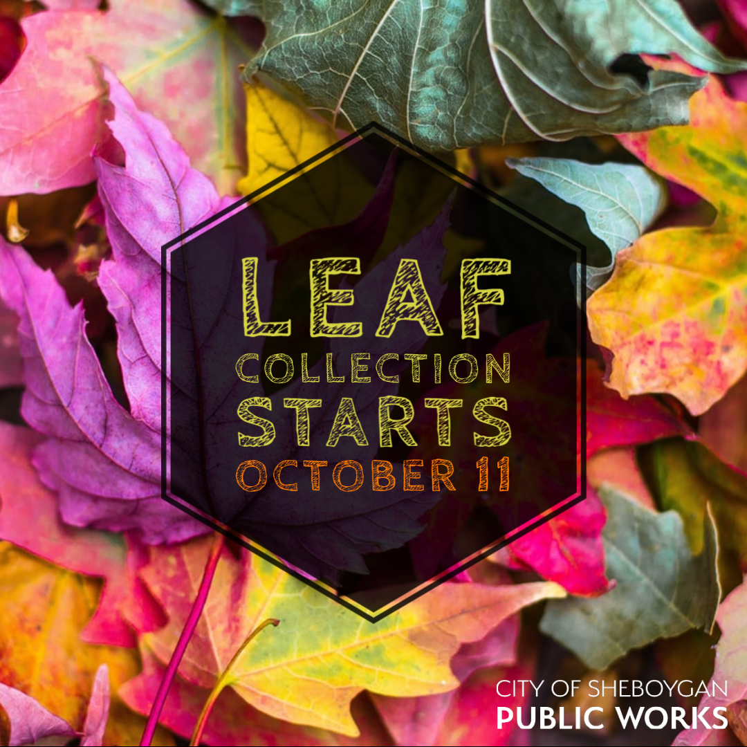 Department of Public Works Announces Start of Fall Leaf Collection