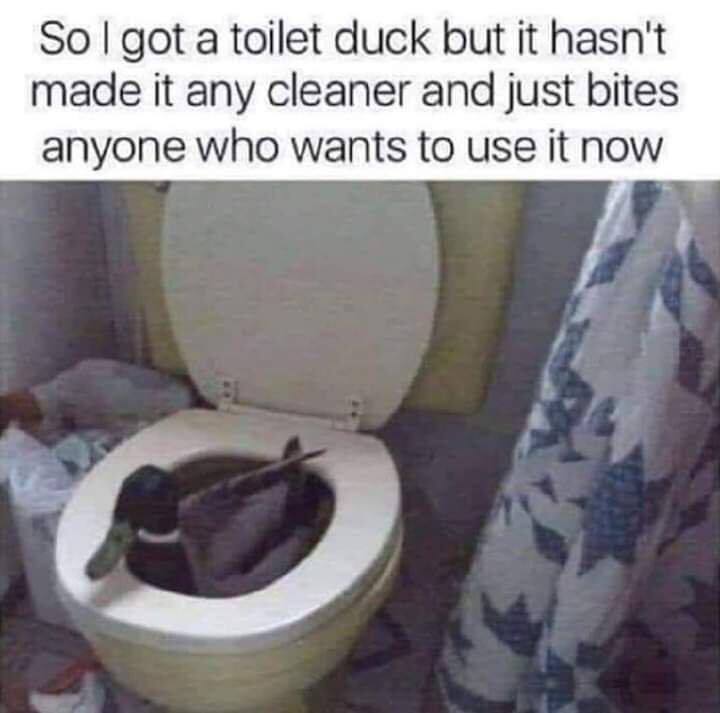 48cb661b7288d9b7d2b0a25b99a7853a.jpeg