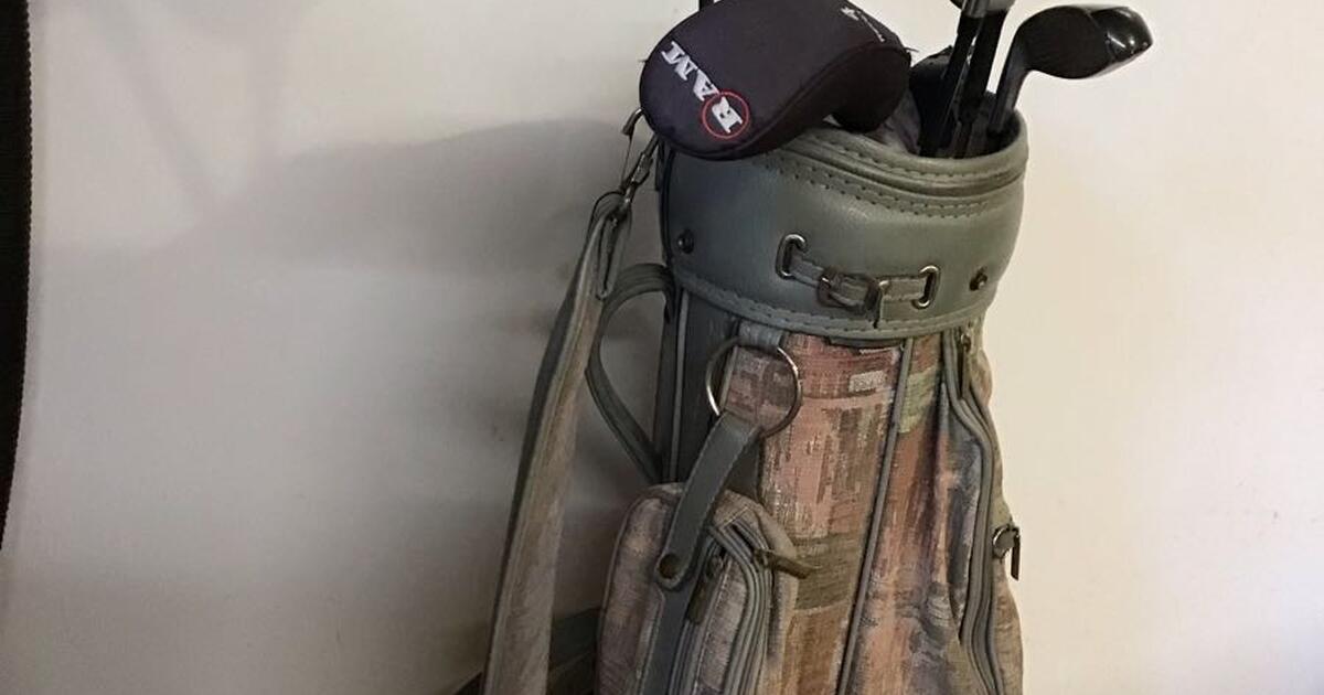 Shorter golf clubs & bag 50.00 in Hot Springs Village, AR For Sale