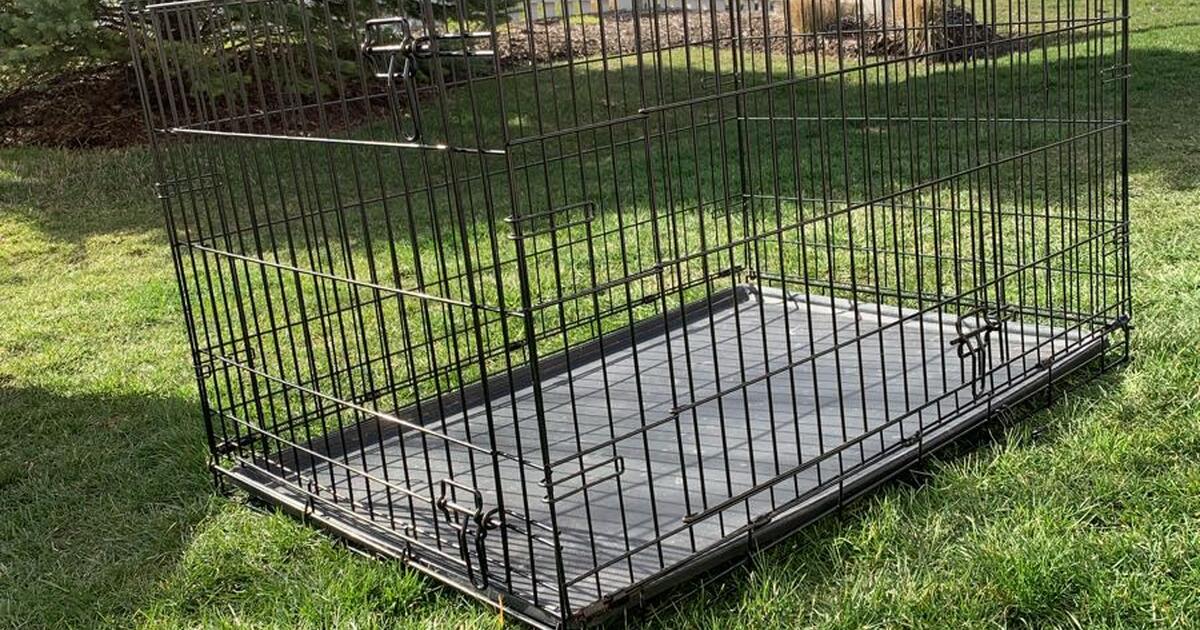 Image result for Dog Crate-Foldable (iCrate Inclusive Home Training System) for $30 in ...