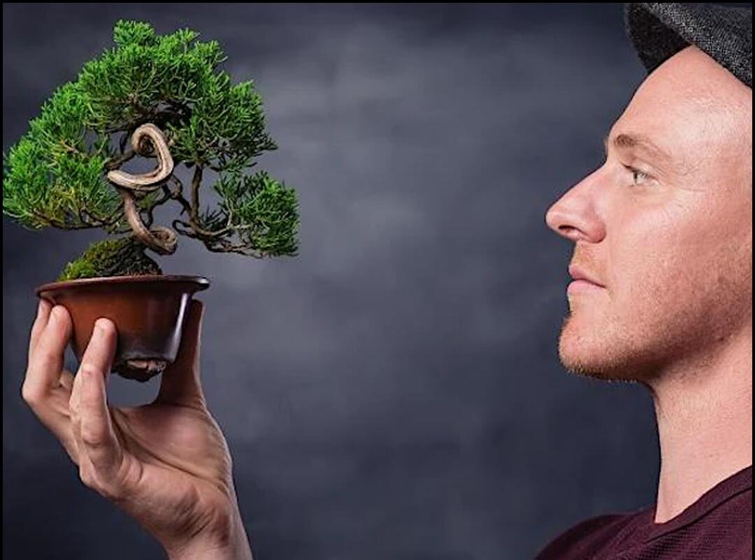 Beginner Bonsai Class