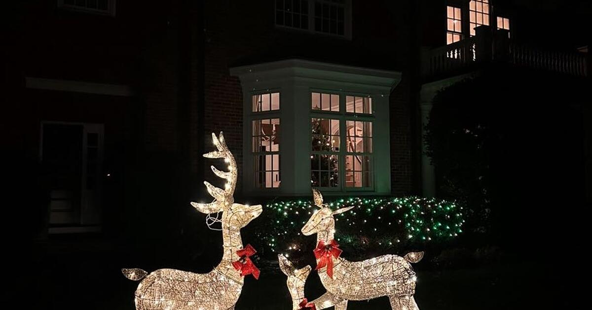 Christmas Decorations Deer Family Lights for Free in Darien, CT For