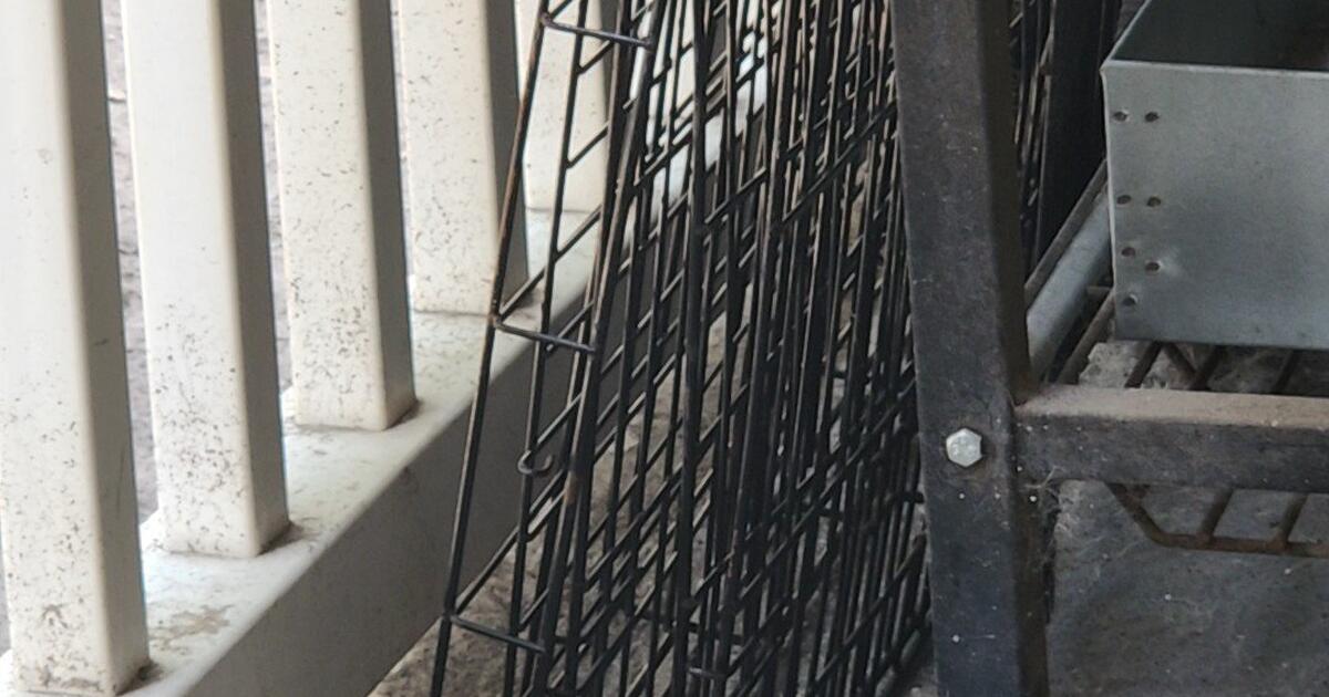 dog crates in Houston, TX Finds — Nextdoor