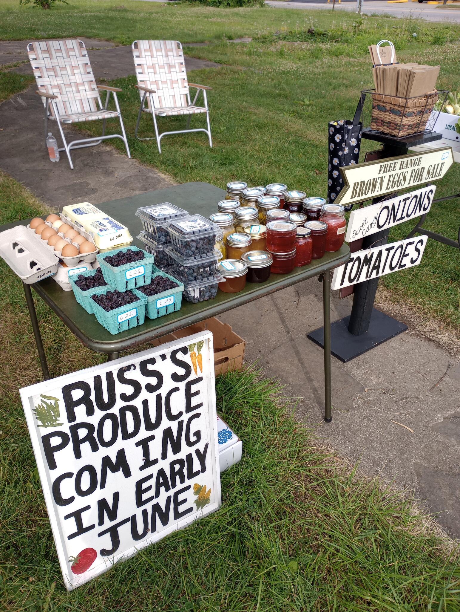 Paden City, Paden City News, Crime, Lost Pets, Free Stuff