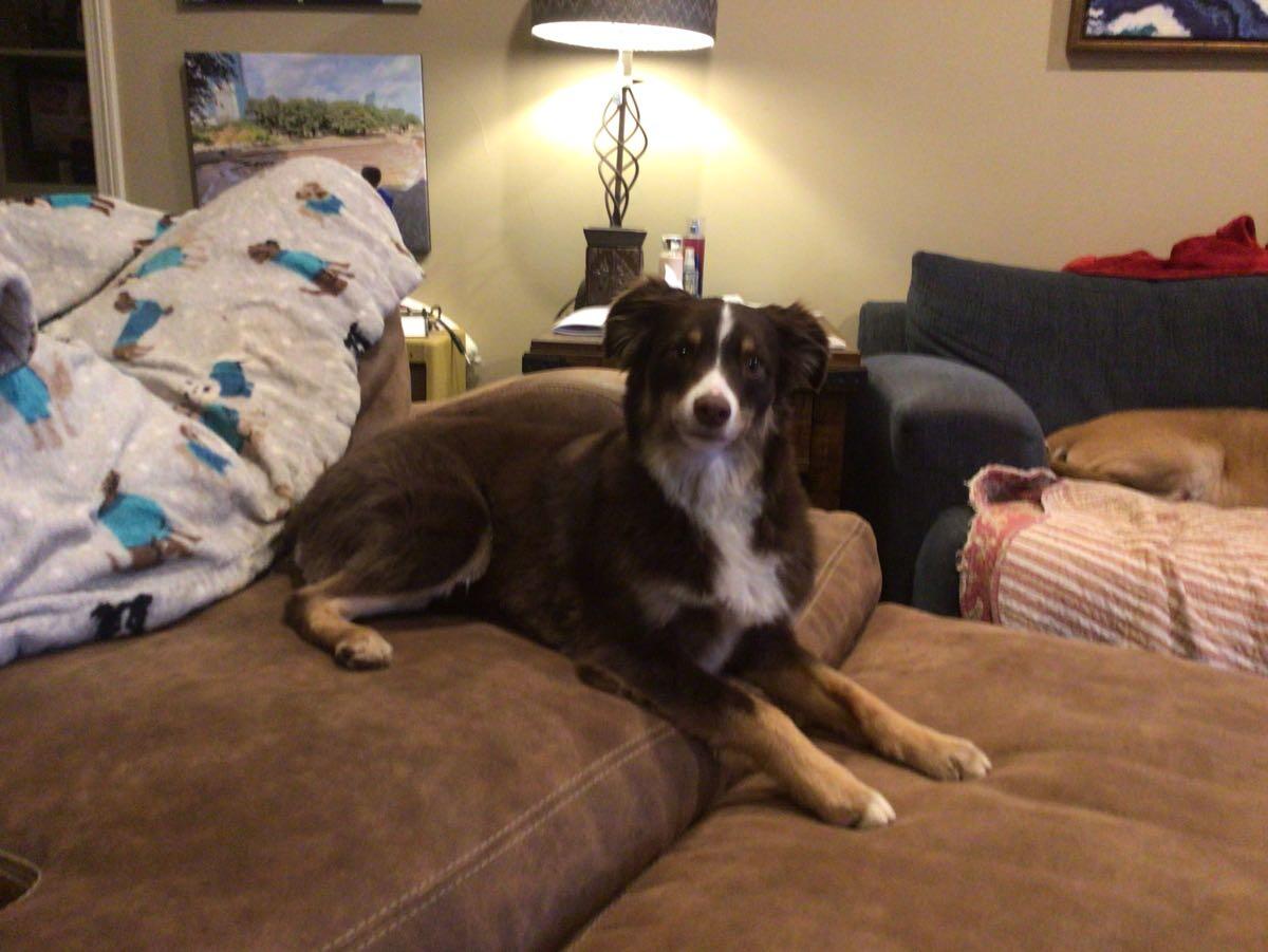 1 DAY ESTATE SALE NRH 76180 50 OFF for Free in North Richland Hills