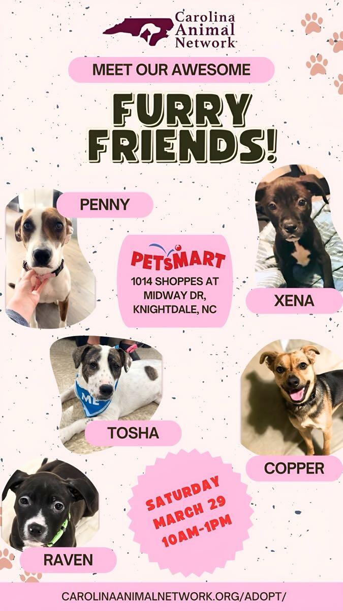 Dog Adoption Event this Saturday, Mar 29th!!!