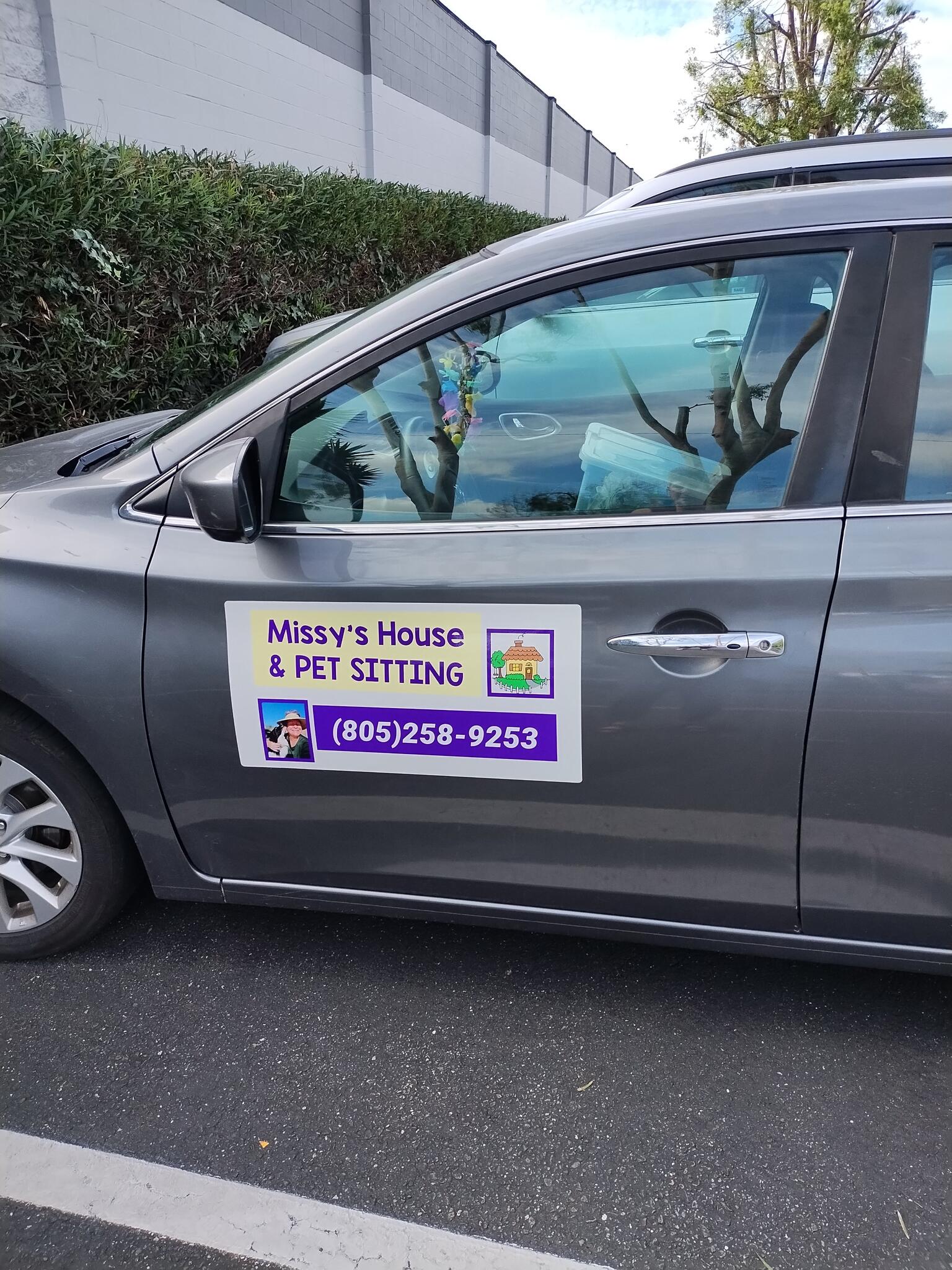 Missy's House & Pet Sitting Ventura Girl Friday & Chaos Control