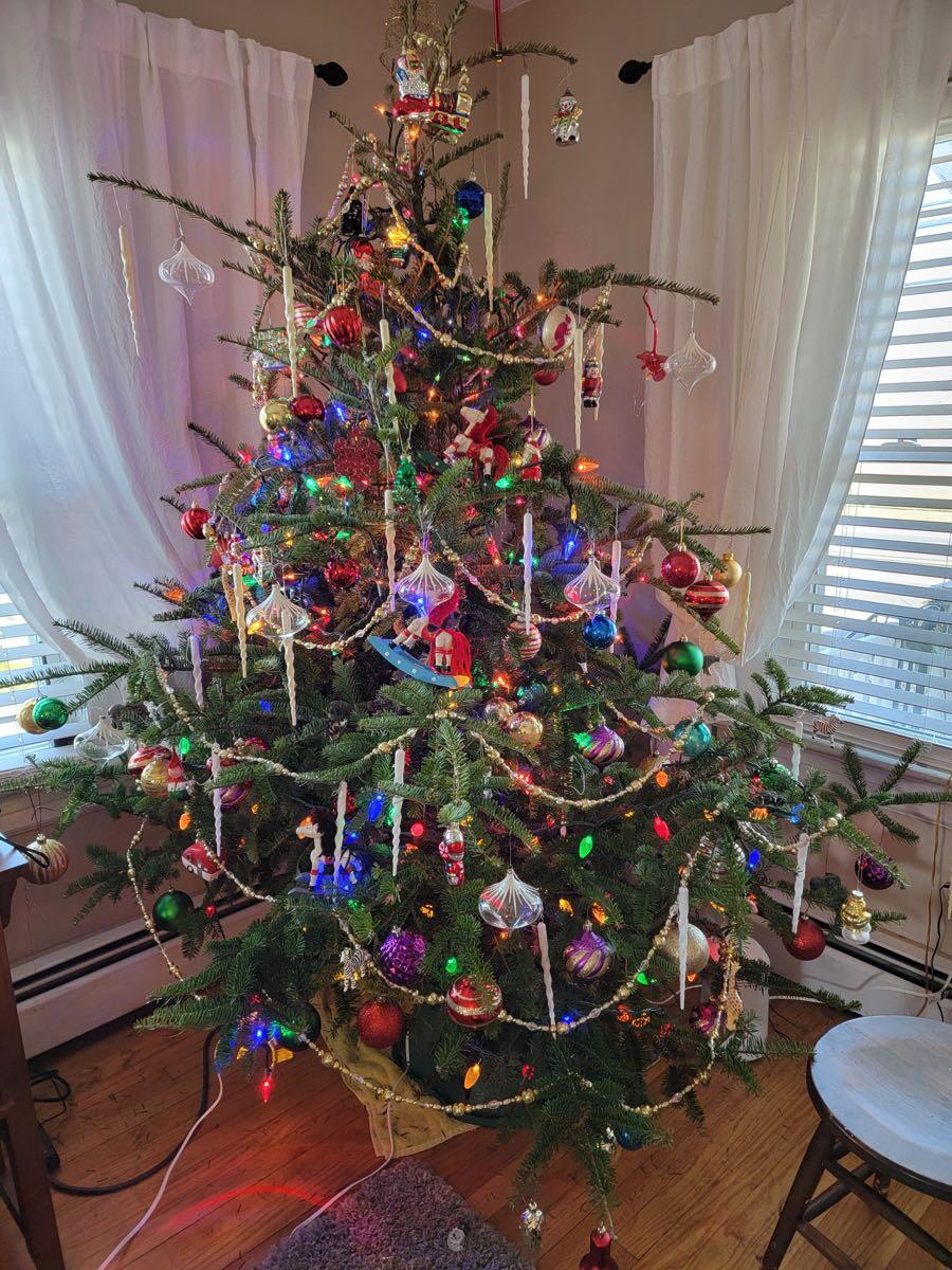 Free Christmas tree for Free in Wall Township, NJ For Sale & Free
