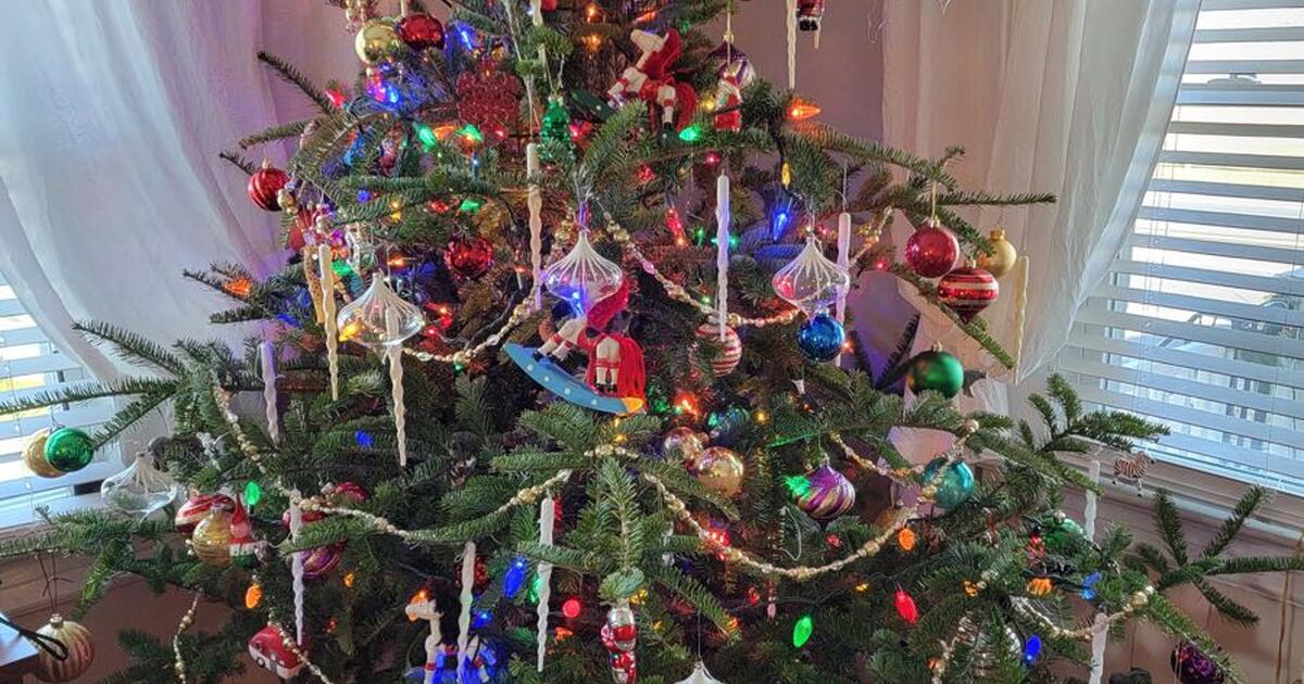 Free Christmas tree for Free in Wall Township, NJ For Sale & Free