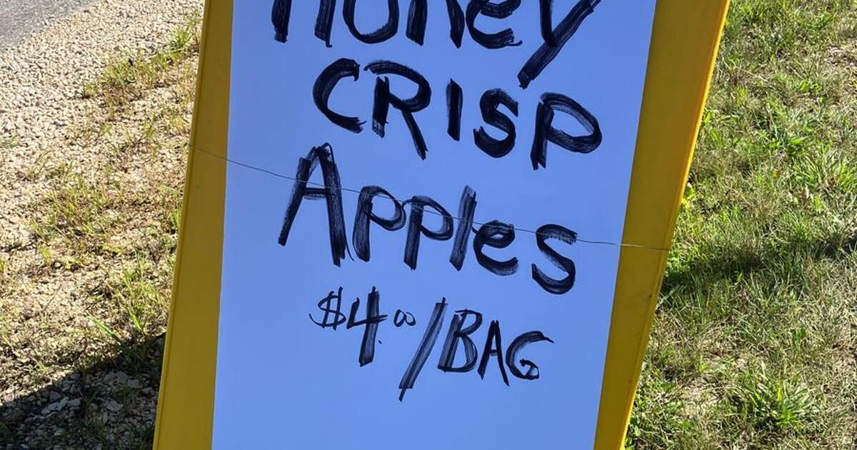 Honey crisp apples and blemished apples for 4 in Colgate, WI Finds