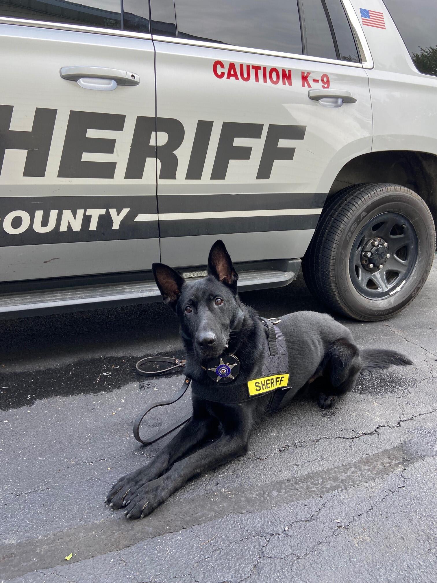 Sheriff John D Idleburg Introduces Canine Ryker Lake County Sheriff S Office Nextdoor