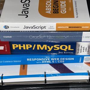 Web development books