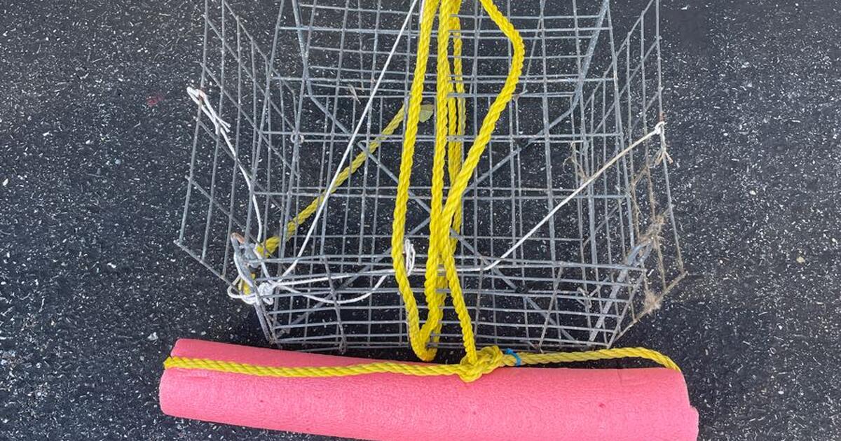 Crab traps (10 in total). Ready to use for 7 in Milton, DE Finds