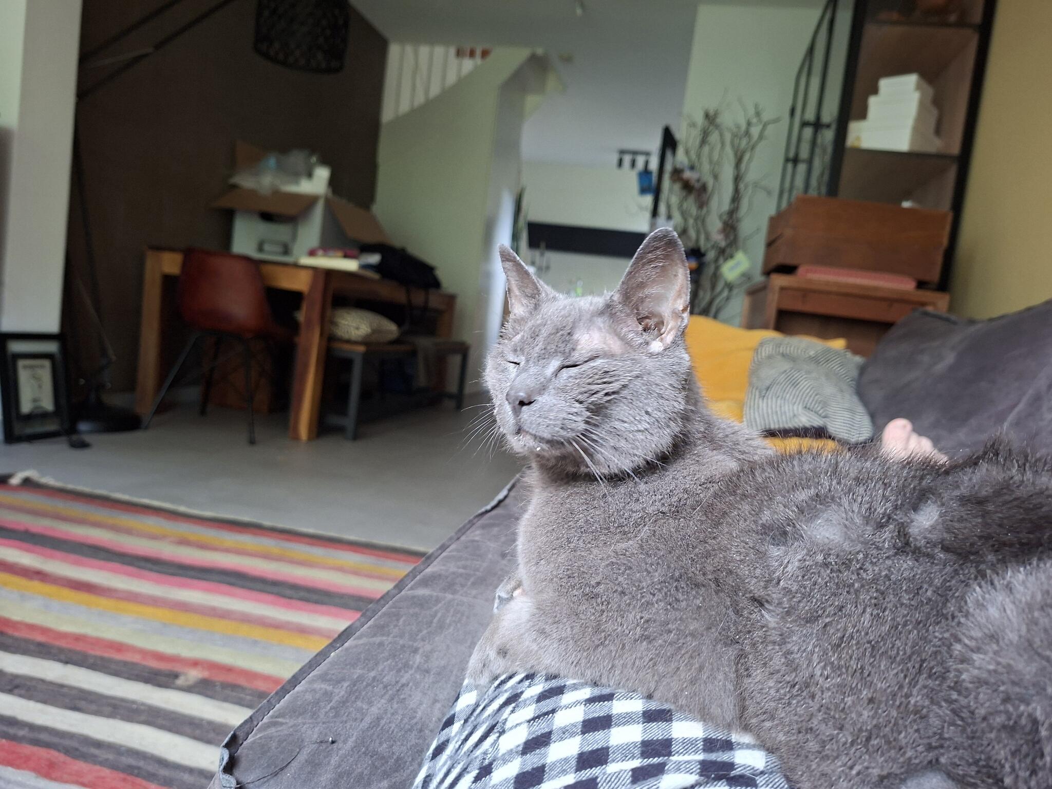 Ronja, 15-jarige dame, is zoek sinds gisterenavond ...