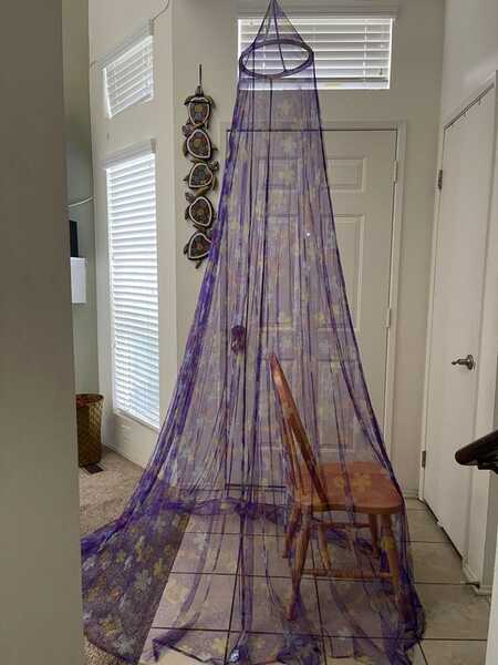 The Proud Family Bed Canopy For $5 In Ventura, CA