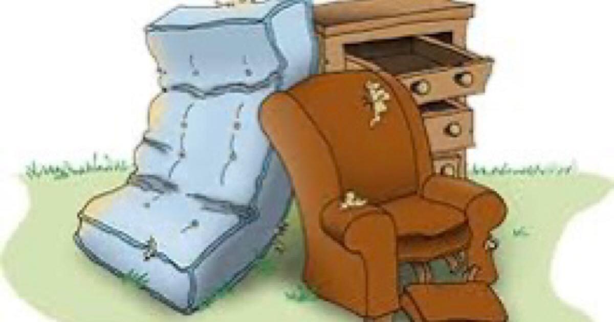 I can dispose your bulk, furniture, yard waste, etc gone? for 40 in