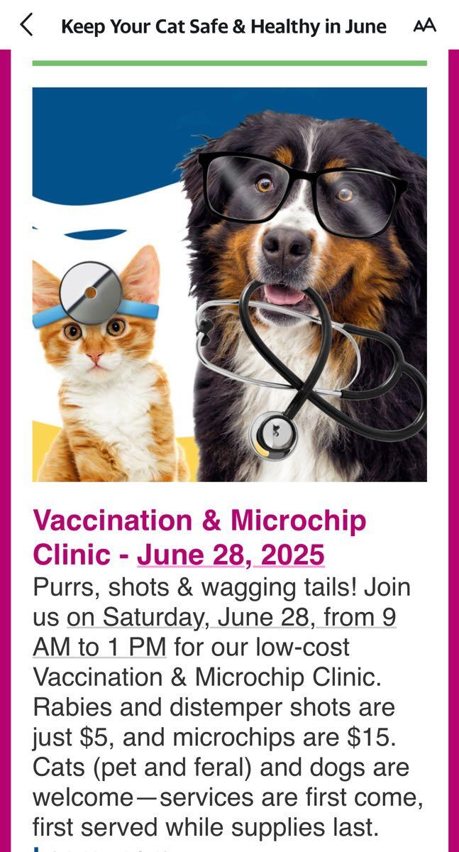 Safe Haven Clinic