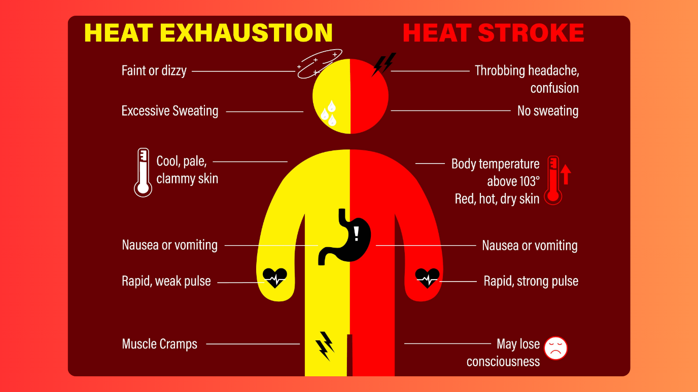 It is important to know the signs of heat exhaustion and heat stroke ...