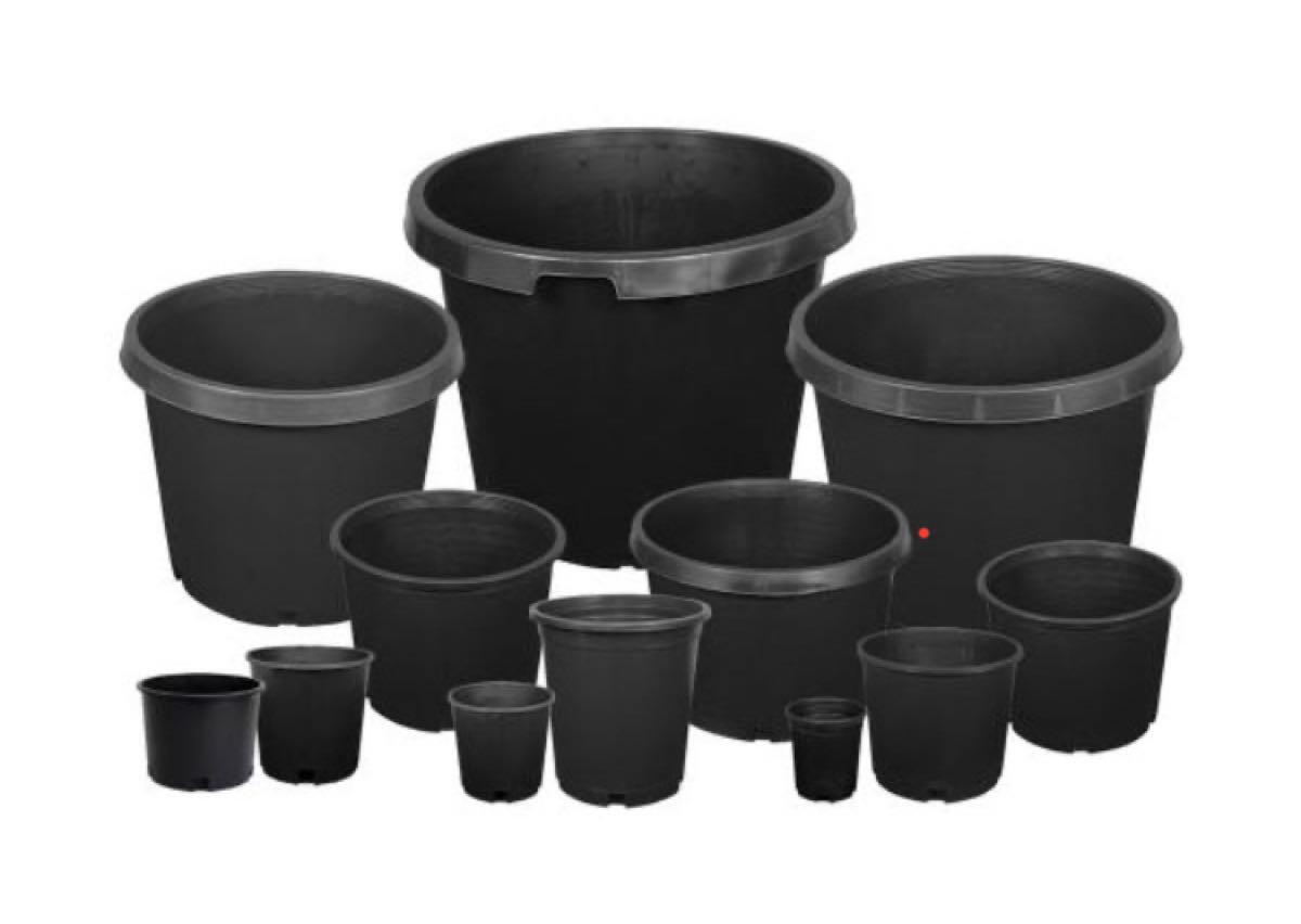 ISO Nursery pots for Free in Englewood, CO For Sale & Free — Nextdoor