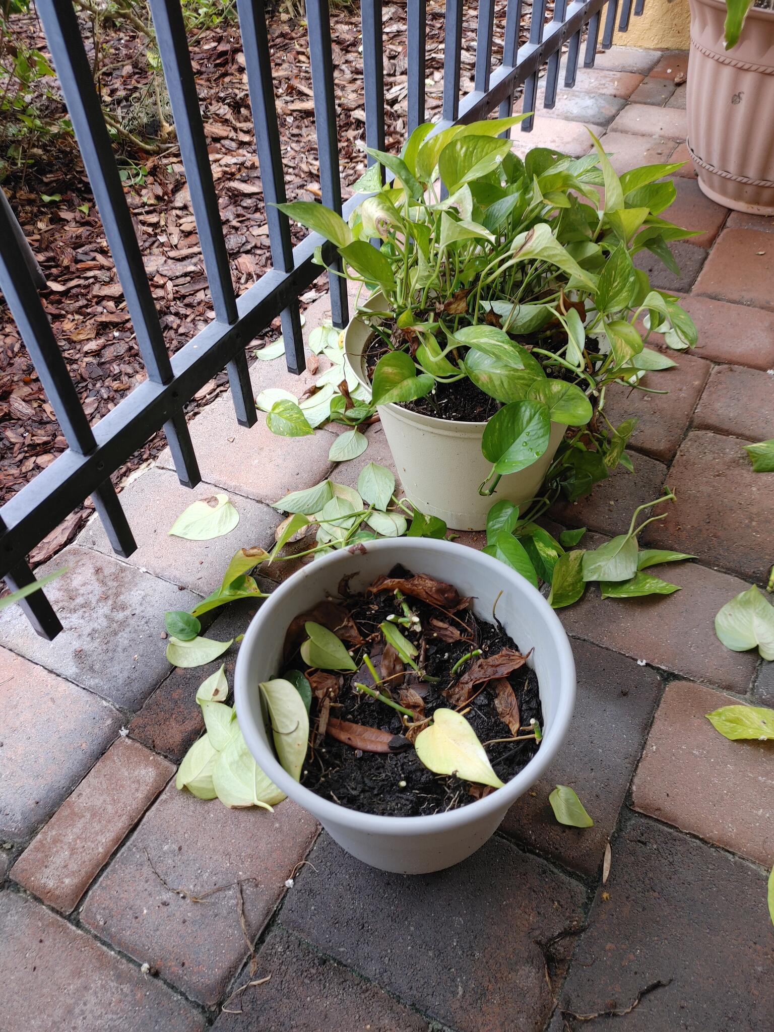 Amazon Davenport, FL Nextdoor