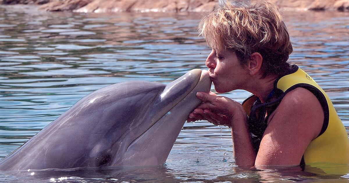 Pet Sitter Excellent!!!!!!! for Free in Rio Rancho, NM Finds — Nextdoor