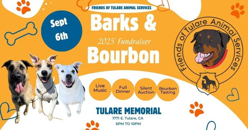 pet tulare kings vet