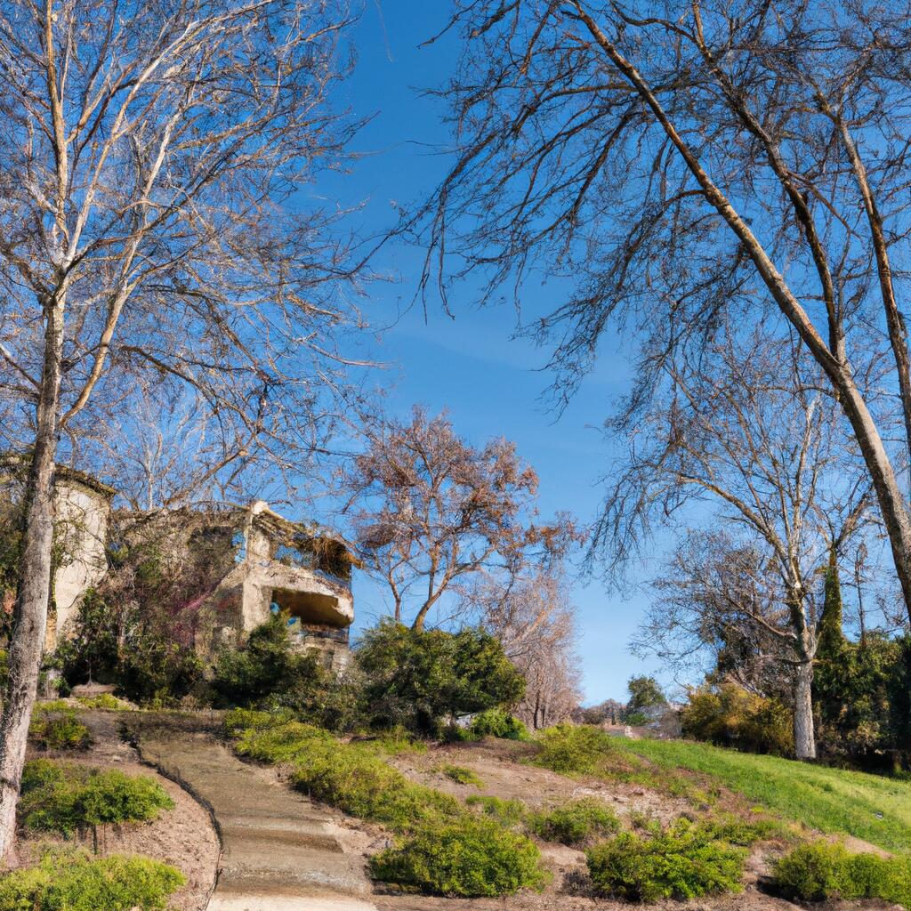 Parkmead, Walnut Creek News, Crime, Lost Pets, Free Stuff