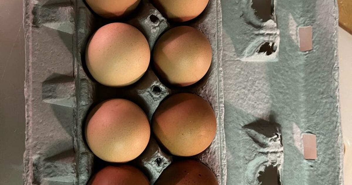 Fresh Brown Eggs for Sale in Montpelier, VA Finds — Nextdoor