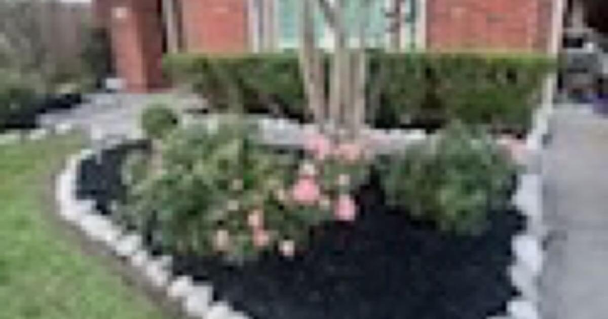 Black and brown mulch for Free in Houston, TX For Sale & Free — Nextdoor