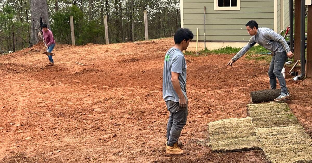 Sod Sod Time & Installation for 2 in Conley, GA For Sale & Free