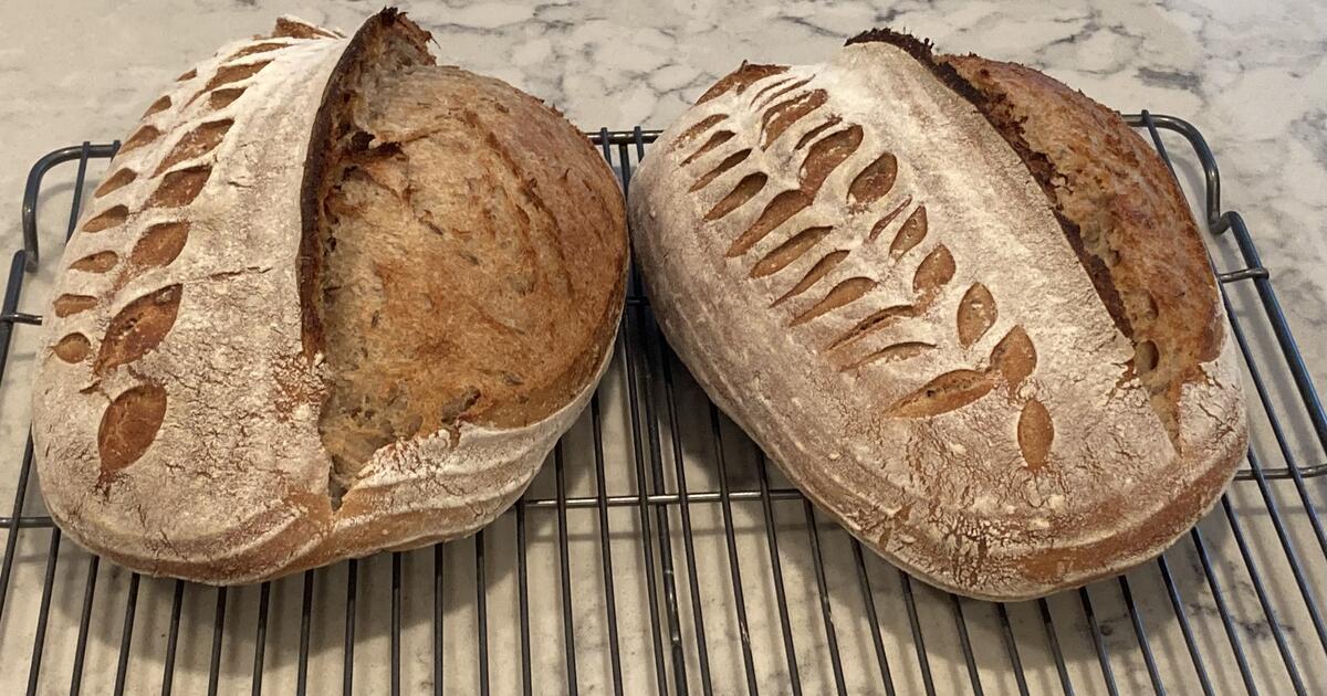 Artisan Sourdough Bread or Sourdough Rye Bread for 10 in Fuquay Varina