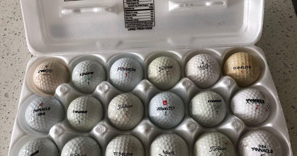 EXPERIENCED GOLF BALLS 🏌🏿‍♂️🏌🏻‍♀️ for $10 in Ormond Beach, FL | For ...