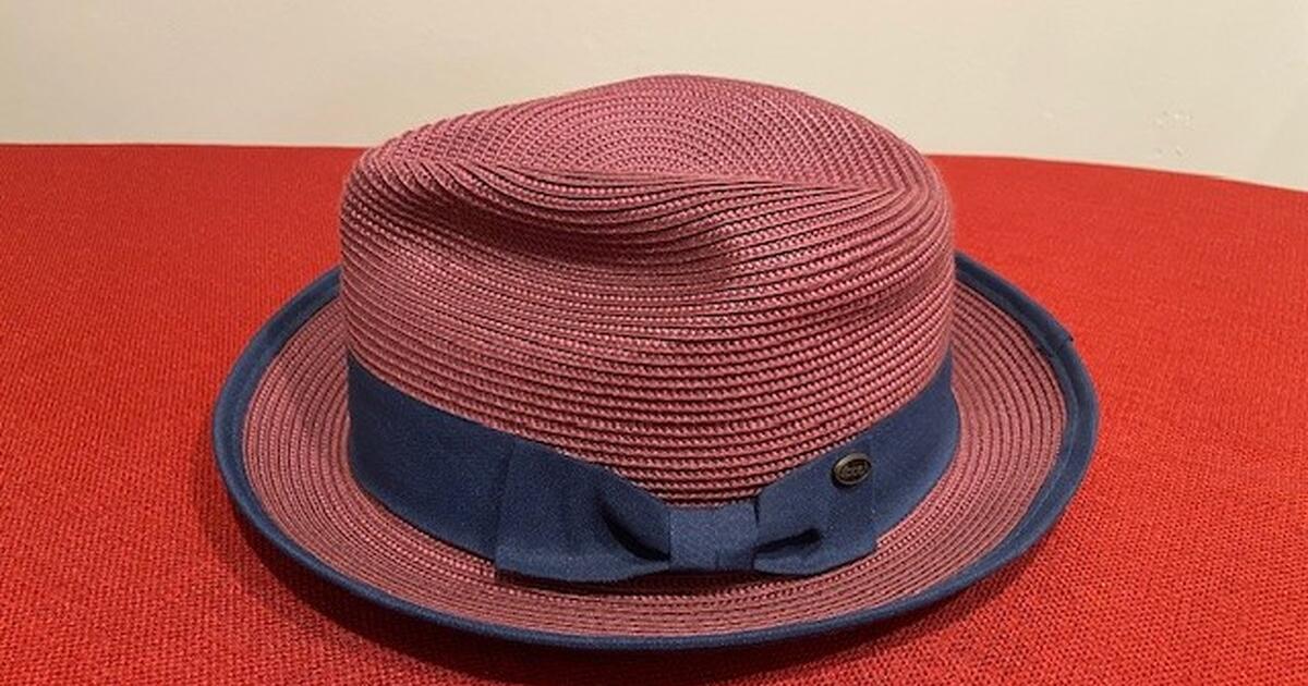 Maroon and Blue Fedora Hat (Epoch) for Free in Thornwood, NY | For Sale ...