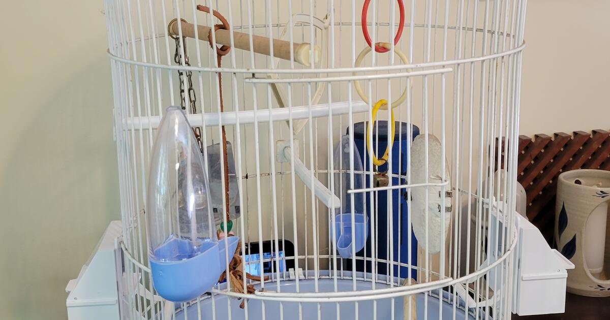 Bird Cage for 25 in North Canton, OH Finds — Nextdoor