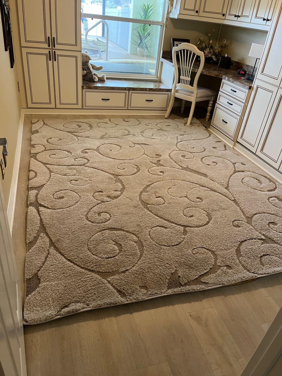8’ X 10’ area rug for 75 in The Villages, FL For Sale & Free — Nextdoor