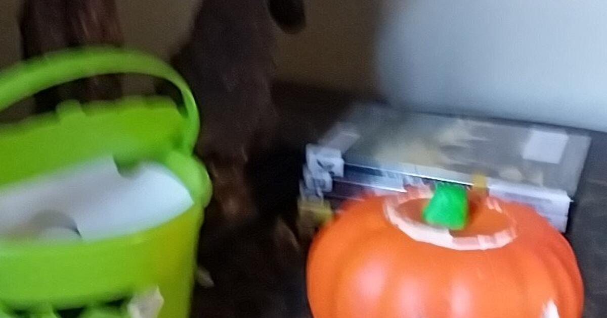 Free Christmas Tree in Lewisville, NC For Sale & Free — Nextdoor