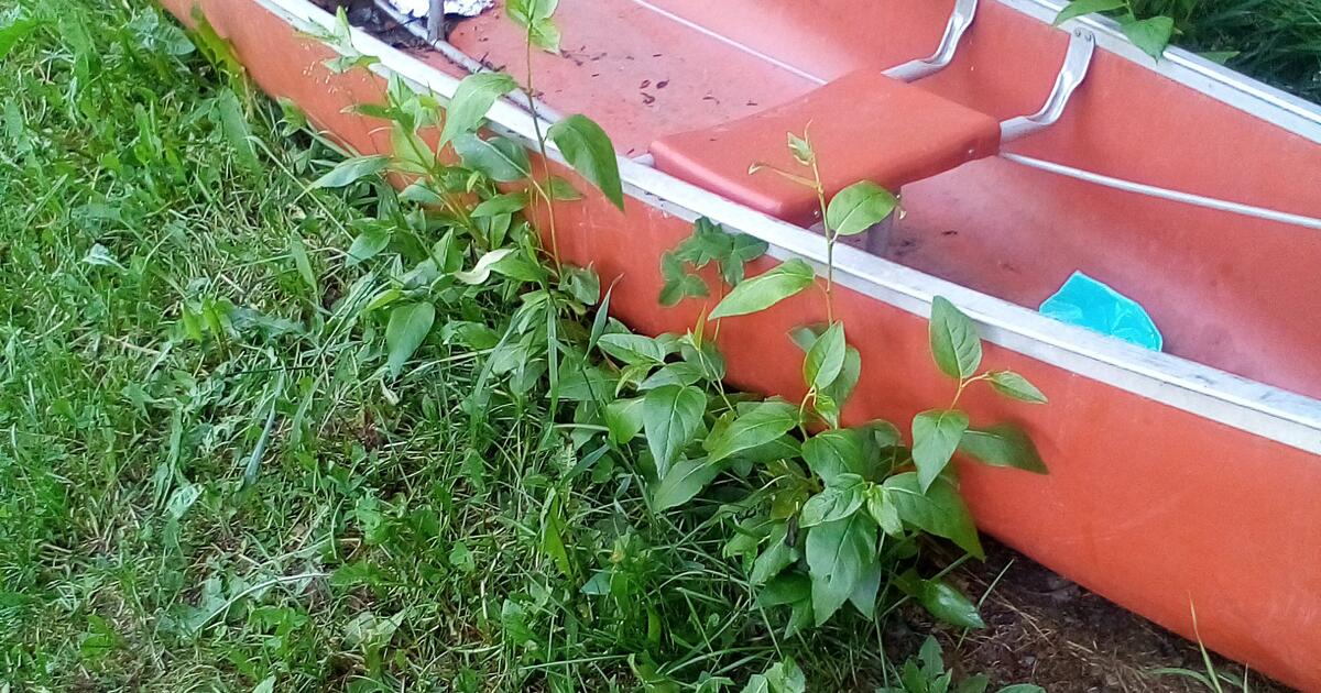 Used Canoe in Anchorage, AK For Sale & Free — Nextdoor