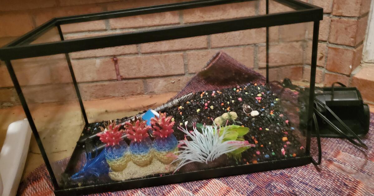 Aquarium for 15 in Navarre, FL For Sale & Free — Nextdoor